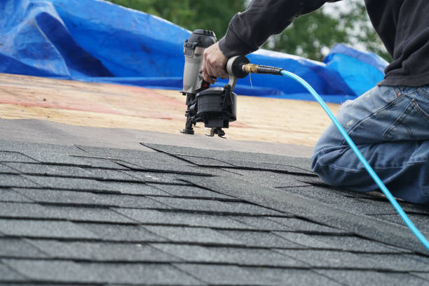 Best Roof Gutter Cleaning  in Franklin, WI